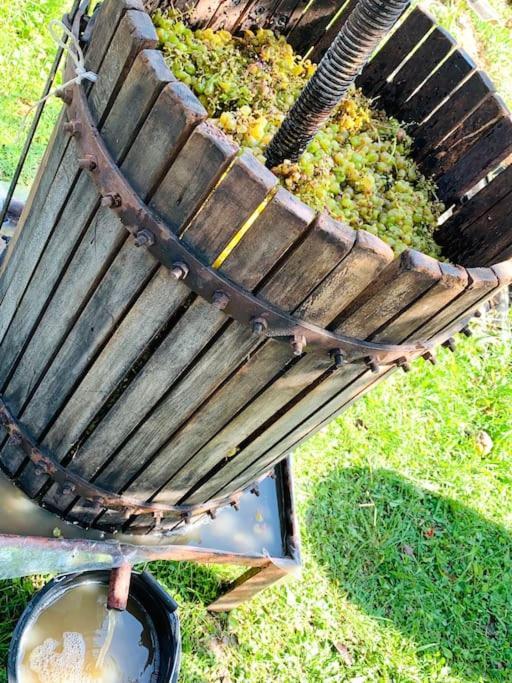 La-Marti, Idyllische Unterkunft Mit Kamin Bagdati Exteriér fotografie